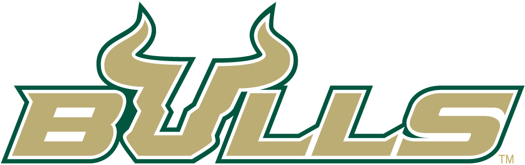 South Florida Bulls 2003-Pres Wordmark Logo v4 diy iron on heat transfer